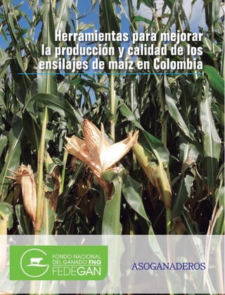 Herramientas para mejorar
la producción y calidad de los
ensilajes de maíz en Colombia

ASOGANADEROS

ASOGANADEROS

 
