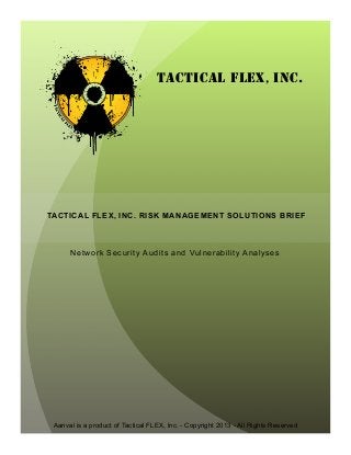 Aanval is a product of Tactical FLEX, Inc. - Copyright 2013 - All Rights Reserved
Network Security Audits and Vulnerability Analyses
TACTICAL FLEX, INC. RISK MANAGEMENT SOLUTIONS BRIEF
TACTICAL FLEX, INC.
 