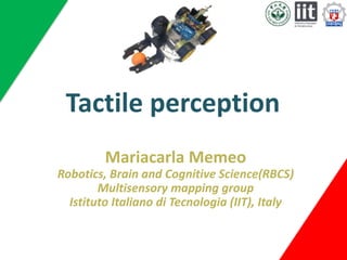 Tactile perception 
Mariacarla Memeo 
Robotics, Brain and Cognitive Science(RBCS) 
Multisensory mapping group 
Istituto Italiano di Tecnologia (IIT), Italy 
 