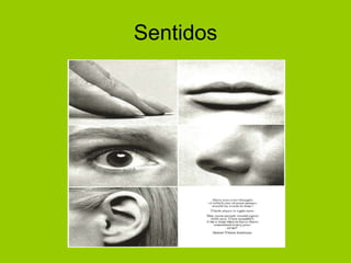 Sentidos 