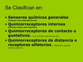Se Clasifican en: Sensores químicos generales Producen una respuesta directa Quimiorreceptores internos Estímulos dentro del organismo Quimiorreceptores de contacto o gustativos.   Tiene Umbrales relativamente altos  Quimiorreceptores de distancia o receptores olfatorios .  Responde a agentes químicos externos 