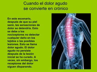 Cuando el dolor agudo se convierte en crónico   En este escenario, después de que su piel sanó, las sensaciones de dolor se detendría. Esto se debe a los nociceptores no detectar cualquier daño en los tejidos o las posibles lesiones. Esto se llama dolor agudo. El dolor agudo no persiste después de la lesión inicial se ha curado. A veces, sin embargo, los receptores del dolor siguen disparando .   