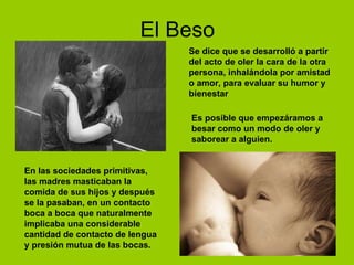 El Beso Se dice que se desarrolló a partir del acto de oler la cara de la otra persona, inhalándola por amistad o amor, para evaluar su humor y bienestar  Es posible que empezáramos a besar como un modo de oler y saborear a alguien. En las sociedades primitivas, las madres masticaban la comida de sus hijos y después se la pasaban, en un contacto boca a boca que naturalmente implicaba una considerable cantidad de contacto de lengua y presión mutua de las bocas.  