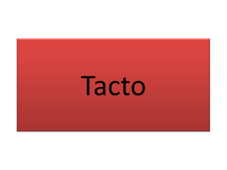 Tacto
 