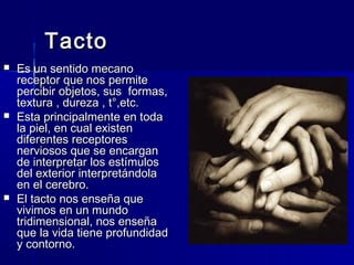 TTaaccttoo 
 EEss uunn sseennttiiddoo mmeeccaannoo 
rreecceeppttoorr qquuee nnooss ppeerrmmiittee 
ppeerrcciibbiirr oobbjjeettooss,, ssuuss ffoorrmmaass,, 
tteexxttuurraa ,, dduurreezzaa ,, tt°°,,eettcc.. 
 EEssttaa pprriinncciippaallmmeennttee eenn ttooddaa 
llaa ppiieell,, eenn ccuuaall eexxiisstteenn 
ddiiffeerreenntteess rreecceeppttoorreess 
nneerrvviioossooss qquuee ssee eennccaarrggaann 
ddee iinntteerrpprreettaarr llooss eessttíímmuullooss 
ddeell eexxtteerriioorr iinntteerrpprreettáánnddoollaa 
eenn eell cceerreebbrroo.. 
 EEll ttaaccttoo nnooss eennsseeññaa qquuee 
vviivviimmooss eenn uunn mmuunnddoo 
ttrriiddiimmeennssiioonnaall,, nnooss eennsseeññaa 
qquuee llaa vviiddaa ttiieennee pprrooffuunnddiiddaadd 
yy ccoonnttoorrnnoo.. 
 