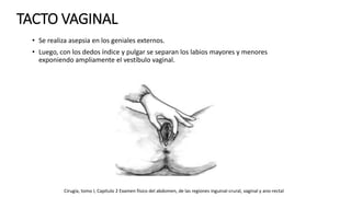 TACTO VAGINAL
• Se realiza asepsia en los geniales externos.
• Luego, con los dedos índice y pulgar se separan los labios mayores y menores
exponiendo ampliamente el vestíbulo vaginal.
Cirugía, tomo I, Capitulo 2 Examen físico del abdomen, de las regiones inguinal-crural, vaginal y ano-rectal
 
