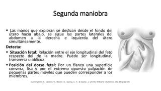Segunda maniobra
 Las manos que exploran se deslizan desde el fondo del
útero hacia abajo, se sigue las partes laterales del
abdomen a la derecha e izquierda del útero
simultáneamente.
Detecta:
 Situación fetal: Relación entre el eje longitudinal del feto
respecto del de la madre. Puede ser longitudinal,
transversa u oblicua.
 Posición del dorso fetal: Por un flanco una superficie
convexa, lisa y por el extremo opuesto palpación de
pequeñas partes móviles que pueden corresponder a los
miembros.
Cunningham, F., Leveno, K., Bloom, S., Spong, C. Y., & Dashe, J. (2014). Williams Obstetrics, 24e. Mcgraw-hill.
 