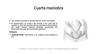 Cuarta maniobra
 Se realiza cuando la presentación está encajada.
 El explorador se coloca de frente a los pies de la
madre y, con las puntas de los primeros tres dedos
de cada mano, ejerce presión profunda en
dirección del eje de la entrada pélvica.
Detecta:
 Actitud fetal: Identifica si la cabeza está flejada o
no.
Cunningham, F., Leveno, K., Bloom, S., Spong, C. Y., & Dashe, J. (2014). Williams Obstetrics, 24e. Mcgraw-hill.
 