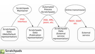Scratchpads
Maintainer

Automated
Process
(Scratchpads)

User
Interface

XSD, XML,
Jason, etc.

Scratchpads
Data
(Web/Default
representation)

Scratchpads
Data
(Publication
representation)

Online transmission

Scratchpads
Data
(External
service
representation)

REST, SOAP,
etc.

External
service

 