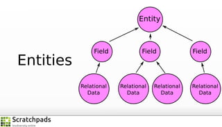 Entity

Entities

Field

Relational
Data

Field

Relational
Data

Relational
Data

Field

Relational
Data

 