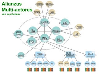Alianzas
Multi-actores
«en la práctica»
 