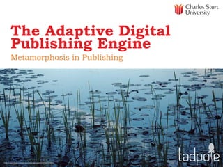 The Adaptive Digital
Publishing Engine
Metamorphosis in Publishing

http://www.flickr.com/photos/alisonelizabethx/4704722551/

 