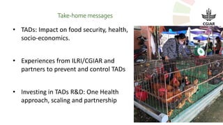 Transboundary animal diseases: Research and development priorities for resilient agrifood systems
