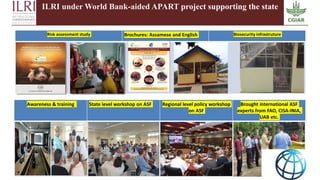 Transboundary animal diseases: Research and development priorities for resilient agrifood systems