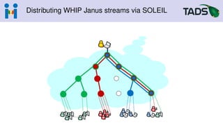 Distributing WHIP Janus streams via SOLEIL
 