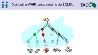 Distributing WHIP Janus streams via SOLEIL
 