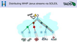 Distributing WHIP Janus streams via SOLEIL
 
