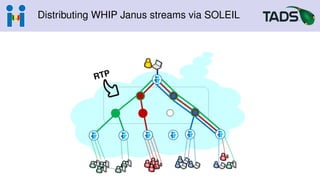 Distributing WHIP Janus streams via SOLEIL
 