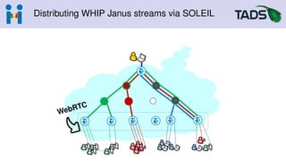 Distributing WHIP Janus streams via SOLEIL
 