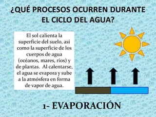 1- EVAPORACIÓN
El sol calienta la
superficie del suelo, así
como la superficie de los
cuerpos de agua
(océanos, mares, ríos) y
de plantas. Al calentarse,
el agua se evapora y sube
a la atmósfera en forma
de vapor de agua.
 