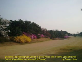 Beautiful Tae-Ryeung Golf Course in Seoul Korea with Colorful Spring Flowers
(former Korea Military Academy Golf Course) by Seung J. Lee
 