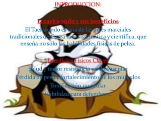 INTRODUCCION:

           El taekwondo y sus beneficios
      El Taekwondo es una de las artes marciales
tradicionales de Corea más sistemática y científica, que
    enseña no sólo las habilidades físicas de pelea.

               Beneficios Físicos Claves
       Salud y mejor resistencia cardiovascular
  Pérdida de peso y fortalecimiento de los músculos
                Tonificación muscular
             Habilidad para defenderse.
 