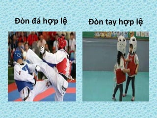 Đòn tay hợp lệĐòn đá hợp lệ
 