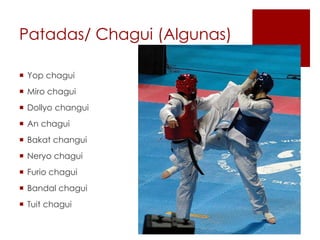 Patadas/ Chagui (Algunas)
 Yop chagui
 Miro chagui
 Dollyo changui
 An chagui
 Bakat changui
 Neryo chagui
 Furio chagui
 Bandal chagui
 Tuit chagui
 