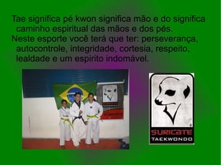 Tae significa pé kwon significa mão e do significa
 caminho espiritual das mãos e dos pés.
Neste esporte você terá que ter: perseverança,
 autocontrole, integridade, cortesia, respeito,
 lealdade e um espirito indomável.
 