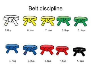 Belt discipline 9. Kup  8. Kup  7. Kup   6. Kup  5. Kup 4. Kup  3. Kup  2. Kup  1.Kup  1. Dan 