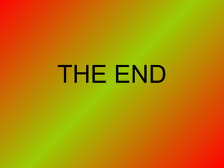 THE END 