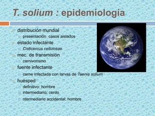 T. solium : epidemiología


distribución mundial




estado infectante




carnivorismo

fuente infectante




Cisticercus cellulosae

mec. de transmisión




presentación casos aislados

carne infectada con larvas de Taenia solium

huésped


definitivo: hombre
intermediario: cerdo



ntermediario accidental: hombre



 