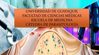 UNIVERSIDAD DE GUAYAQUIL
FACULTAD DE CIENCIAS MÉDICAS
ESCUELA DE MEDICINA
CÁTEDRA DE PARASITOLOGÍA
 