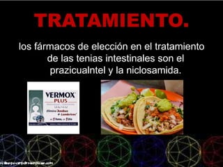 TRATAMIENTO.
los fármacos de elección en el tratamiento
de las tenias intestinales son el
prazicualntel y la niclosamida.
•
 