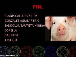 FIN.
ALANIS CALLEJAS SUREY
GONZALES AGUILAR ERIC
SANDOVAL BAUTISTA MIREYA
CORELLA
GABRIELA
AMANDA
 