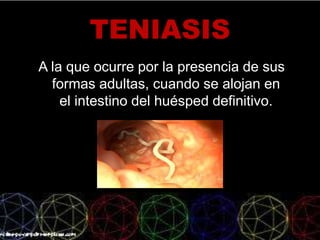 TENIASIS
A la que ocurre por la presencia de sus
formas adultas, cuando se alojan en
el intestino del huésped definitivo.
 