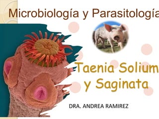 Taenia Solium
y Saginata
Microbiología y Parasitología
DRA. ANDREA RAMIREZ
 