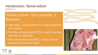 Stakeholders’ knowledge, attitude and perceptions on the control of Taenia solium in Kamuli and Hoima districts, Uganda