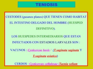 TENIOSIS
CESTODES (gusanos planos) QUE TIENEN COMO HABITAT 
EL INTESTINO DELGADO DEL HOMBRE (HUESPED 
DEFINITIVO). 
LOS HUESPEDES INTERMEDIARIOS QUE ESTAN 
INFECTADOS CON ESTADIOS LARVALES SON :
VACUNOS : Cysticercus bovis / (T.saginata saginata Y 
T.saginata asiatica)  
CERDOS : Cysticercus cellulosae /Taenia solium
 