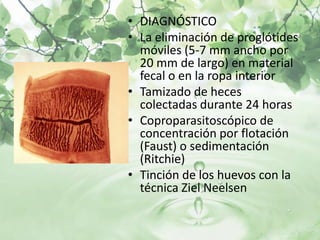• DIAGNÓSTICO
• La eliminación de proglótides
  móviles (5-7 mm ancho por
  20 mm de largo) en material
  fecal o en la ropa interior
• Tamizado de heces
  colectadas durante 24 horas
• Coproparasitoscópico de
  concentración por flotación
  (Faust) o sedimentación
  (Ritchie)
• Tinción de los huevos con la
  técnica Ziel Neelsen
 