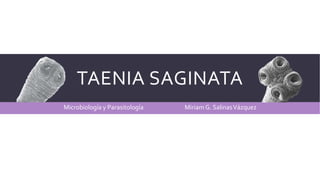 TAENIA SAGINATA
Microbiología y Parasitología Miriam G. SalinasVázquez
 