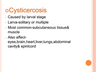 Cysticercosis
• Caused by larval stage
• Larva-solitary or multiple
• Most common-subcutaneous tissue&
muscle
• Also affect-
eyes,brain,heart,liver,lungs,abdominal
cavity& spinlcord
 