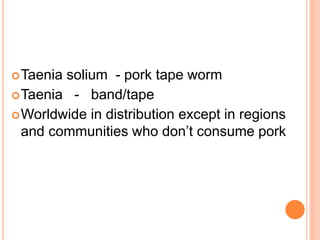 Taenia solium - pork tape worm
Taenia - band/tape
Worldwide in distribution except in regions
and communities who don’t consume pork
 