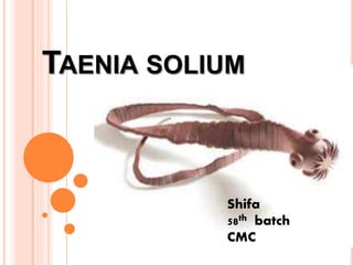 TAENIA SOLIUM
Shifa
58th batch
CMC
 