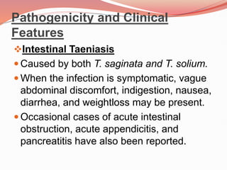 Pathogenicity and Clinical
Features
Intestinal Taeniasis
 Caused by both T. saginata and T. solium.
 When the infection is symptomatic, vague
abdominal discomfort, indigestion, nausea,
diarrhea, and weightloss may be present.
 Occasional cases of acute intestinal
obstruction, acute appendicitis, and
pancreatitis have also been reported.
 
