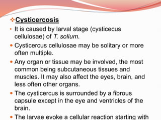 Cysticercosis
• It is caused by larval stage (cysticecus
cellulosae) of T. solium.
 Cysticercus cellulosae may be solitary or more
often multiple.
 Any organ or tissue may be involved, the most
common being subcutaneous tissues and
muscles. It may also affect the eyes, brain, and
less often other organs.
 The cysticercus is surrounded by a fibrous
capsule except in the eye and ventricles of the
brain.
 The larvae evoke a cellular reaction starting with
 