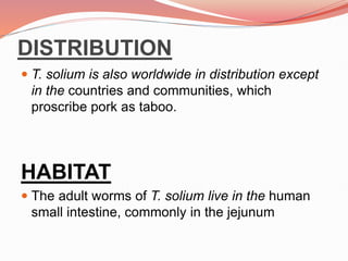 DISTRIBUTION
 T. solium is also worldwide in distribution except
in the countries and communities, which
proscribe pork as taboo.
HABITAT
 The adult worms of T. solium live in the human
small intestine, commonly in the jejunum
 
