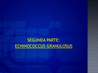 SEGUNDA PARTE:
ECHINOCOCCUS GRANULOSUS
 