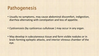 Pathogenesis
• Usually no symptoms, may cause abdominal discomfort, indigestion,
diarrhea alternating with constipation and loss of appetite.
• Cysticercosis (by cysticercus cullulosae ) may occur in any organ.
• May develop in subcutaneous tissue and form visible nodules or in
brain forming epileptic attacks, and interior vitreous chamber of the
eye.
 
