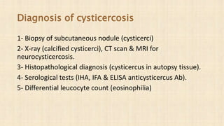 Diagnosis of cysticercosis
1- Biopsy of subcutaneous nodule (cysticerci)
2- X-ray (calcified cysticerci), CT scan & MRI for
neurocysticercosis.
3- Histopathological diagnosis (cysticercus in autopsy tissue).
4- Serological tests (IHA, IFA & ELISA anticysticercus Ab).
5- Differential leucocyte count (eosinophilia)
 